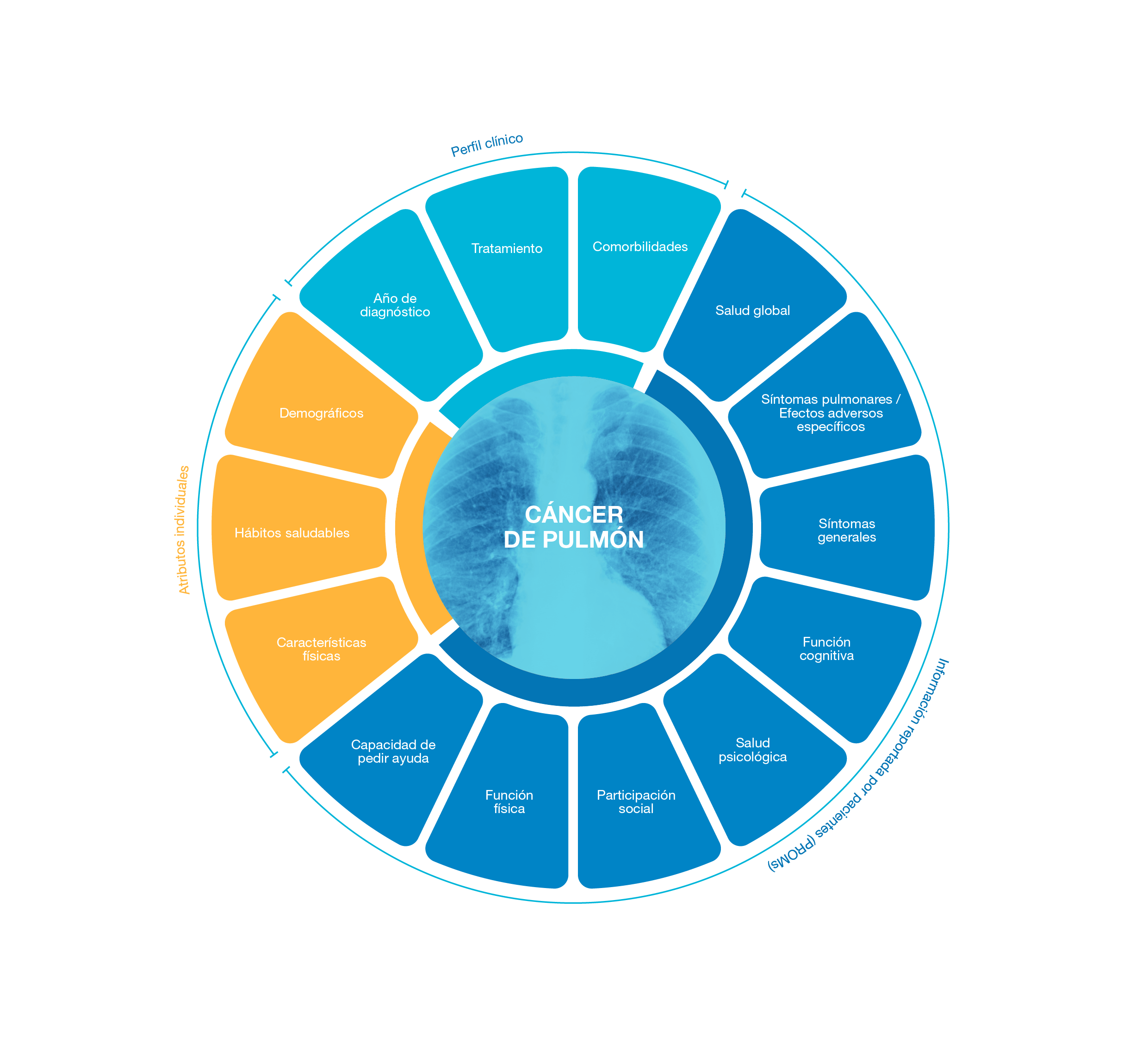 Cáncer de Pulmón